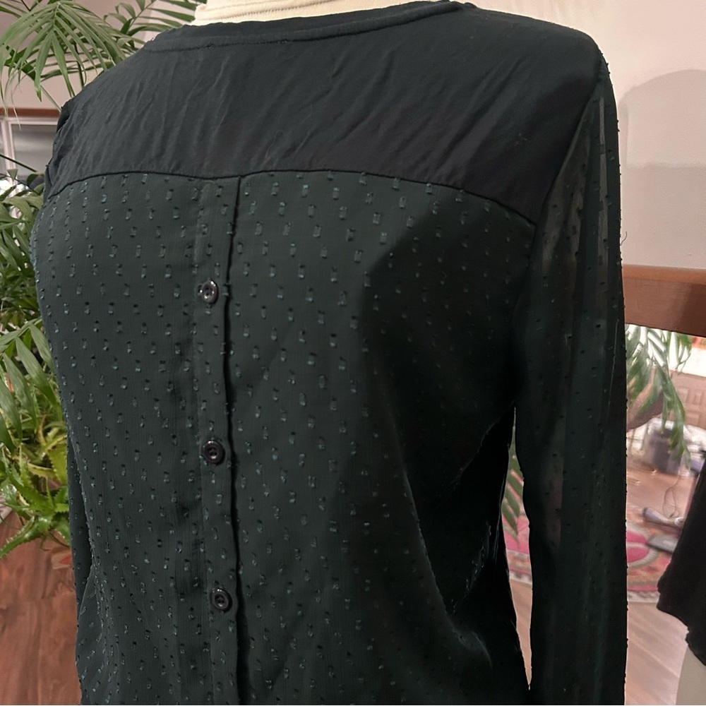 Sheer Sleeved T-shirt Blouse Back Buttons Green & Black Skies Are Blue Women M P